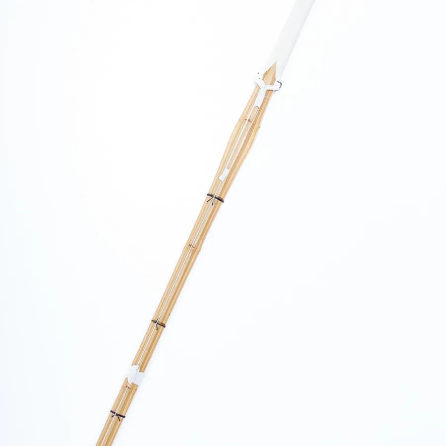Kendo 1 image