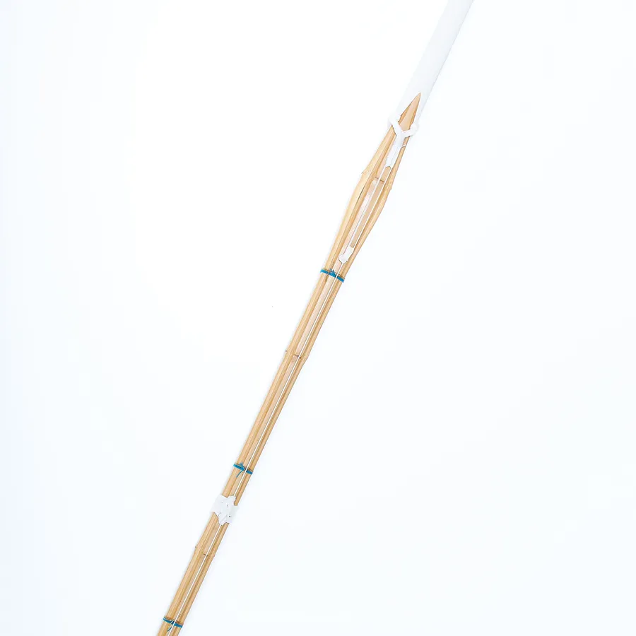 Kendo 1 image