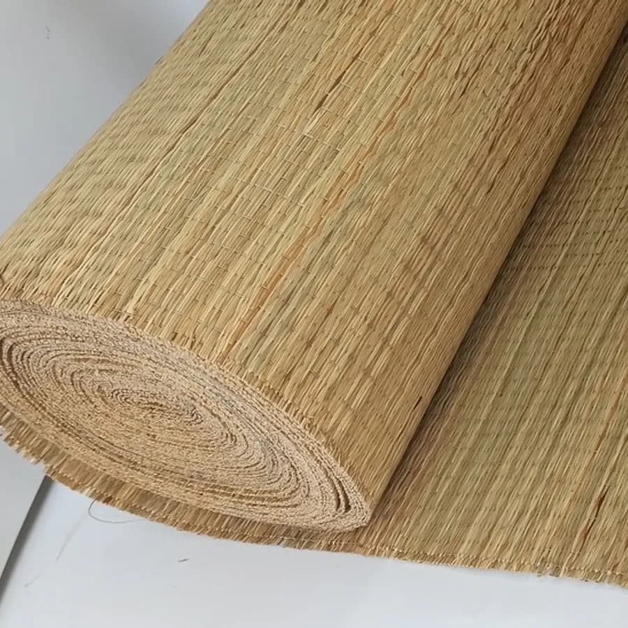 Kendo 2 image