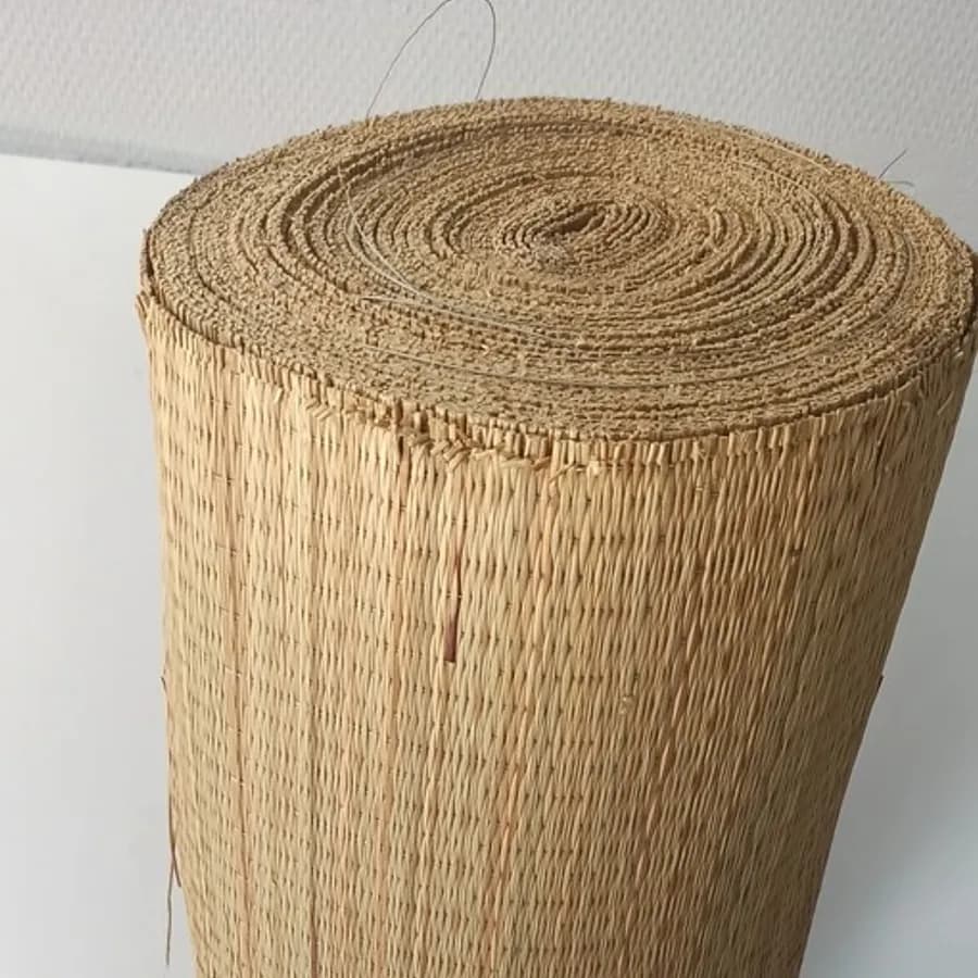 Kendo 1 image