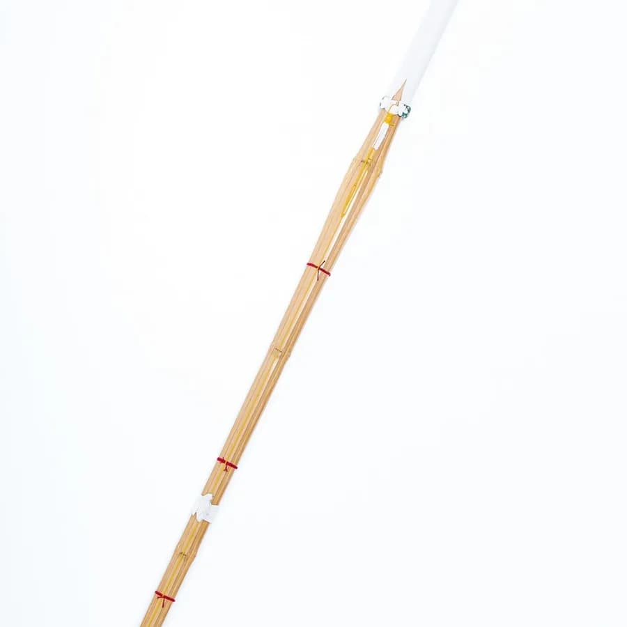 Kendo 1 image