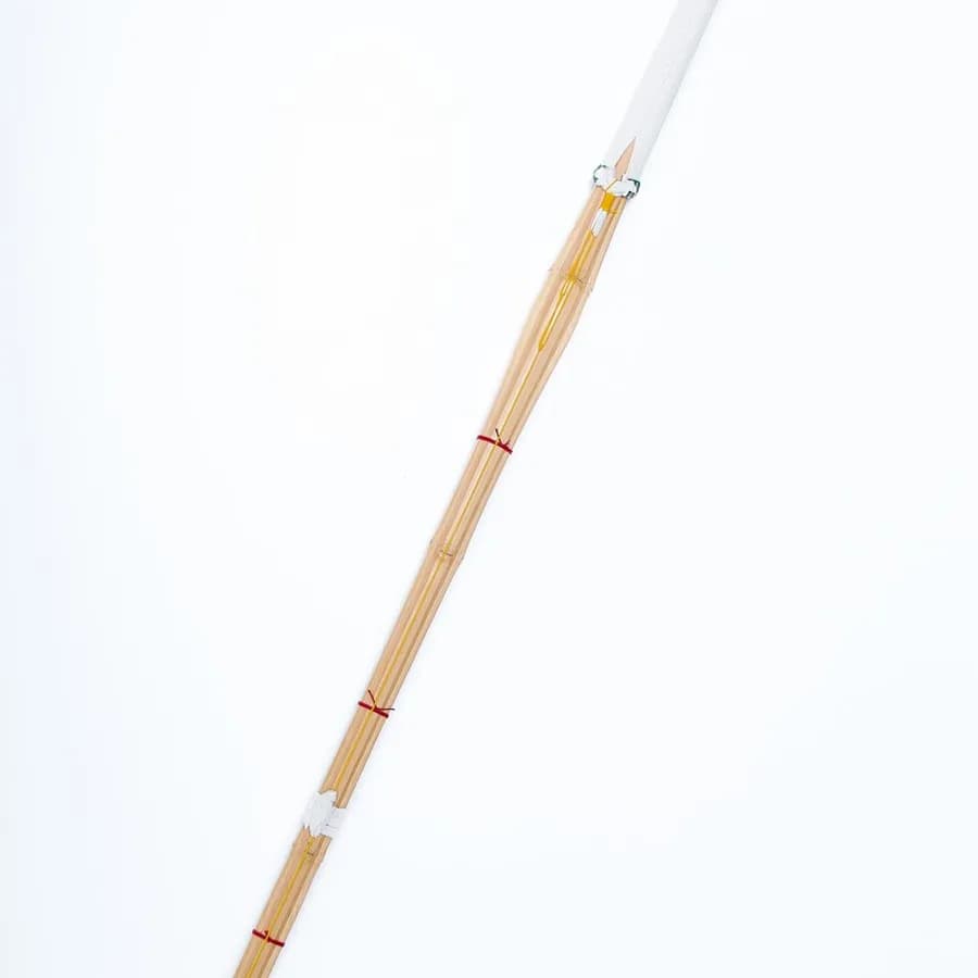 Kendo 1 image